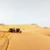 Tour Mũi Né (1N)