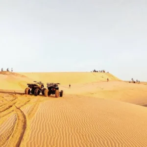Tour Mũi Né (1N)