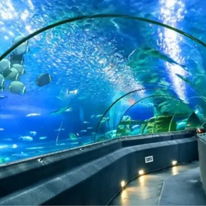 Tour Nha Trang: Miền Cát Trắng (4N3Đ)